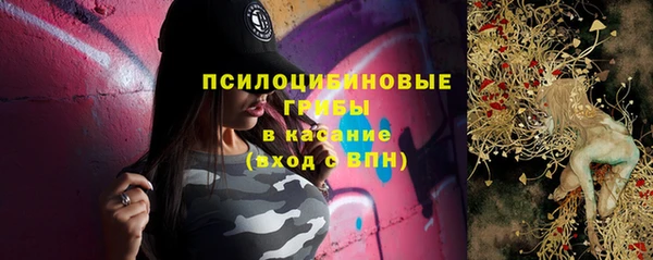 гидра Красноперекопск