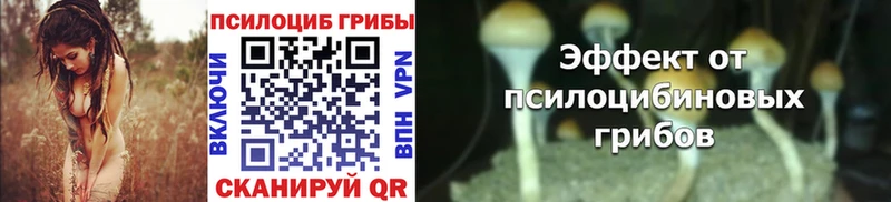 Галлюциногенные грибы Psilocybine cubensis  Купить закладки  Аша 